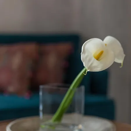 The - Adults Only Riad Tarifa