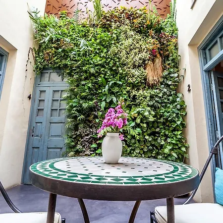 The - Adults Only Tarifa